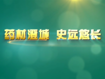 药材澄城 史远悠长