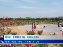 瞰华州：蔬果飘香花正艳   田园风光待客来