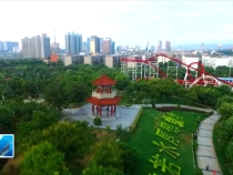 临渭区创建办：让城市更美环境更优  人民更幸福