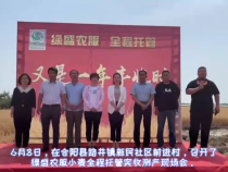 合阳旱地全程托管小麦喜获丰收