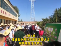 澄城中药材高质量发展大会现场观摩活动举行