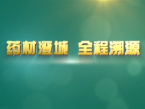 药材澄城 全程溯源