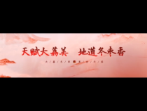 天赋大荔美  地道冬枣香