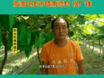 我和天福櫻花的故事：你我有緣，你我有“元”！