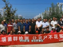 白水蘋果又迎來新福音～