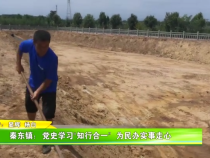 秦东镇：党史学习“知行合一”  为民办实事走心