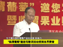 “臨渭葡萄”邀您寫歌詞活動受各界贊譽