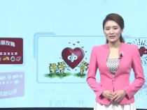 0714期彩视朋友圈