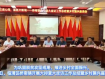 臨渭區橋南鎮：遍訪談心得 謀劃開新局