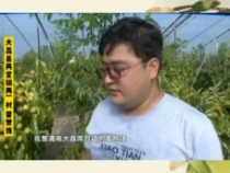 大荔“最美枣园”评选展播——雷赞锋：肯下苦 敢投资 好生活来的“枣”