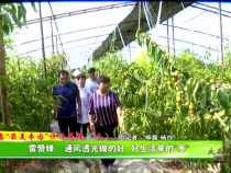 大荔”最美枣园“评选展播（六）——雷赞锋：通风透光做的好  好生活来的“枣”