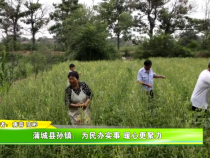 蒲城县孙镇：为民办实事 暖心更聚力
