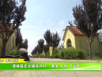 澄城县庄头镇永内村：景美 人和 产业旺