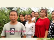 大荔“最美棗園”評選展播——阮剛：跟著市場需求走 發展綠色水果