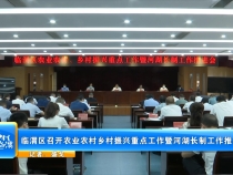 临渭区召开农业农村乡村振兴重点工作暨河湖长制工作推进会