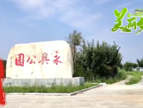 澄城县庄头镇永内村：我们的村子变美了！