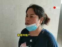 天福农化喊你学习富硒阳光玫瑰葡萄种植技术了