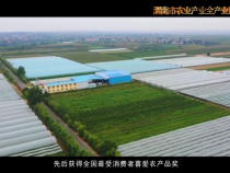 渭南市農(nóng)業(yè)產(chǎn)業(yè)全產(chǎn)業(yè)鏈重點(diǎn)鏈——合陽(yáng)縣紅提葡萄全產(chǎn)業(yè)鏈簡(jiǎn)介