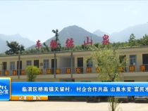 臨渭區(qū)橋南鎮(zhèn)天留村：村企合作共贏 山泉水變“富民水”