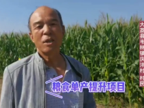 提升粮食单产 这个模式更好