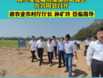 2021年全市秋粮观摩分析暨小麦宽幅沟播演示培训会在合阳县召开