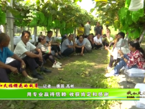 用專業(yè)贏得信賴 收獲肯定和感謝