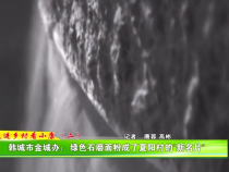 【走进乡村看小康】韩城市金城办：绿色石磨面粉成了夏阳村的“新名片”