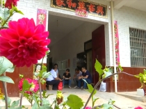 臨渭區(qū)：筑牢民生底線  助力鄉(xiāng)村振興