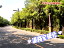 是什么样的村子让村民为它连连打call