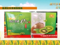 金秋臨渭特色農(nóng)副產(chǎn)品邀您品鑒