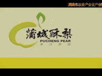 渭南市農(nóng)業(yè)產(chǎn)業(yè)全產(chǎn)業(yè)鏈重點(diǎn)鏈——蒲城縣酥梨全產(chǎn)業(yè)鏈簡(jiǎn)介