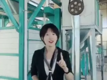 韩城市金城办：发展石磨面粉产业   助力夏阳乡村振兴