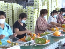 臨渭區(qū)：陽光玫瑰飄香上市  電商直播賦能鄉(xiāng)村振興