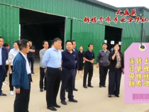 看看大荔 合阳 澄城这些地方的高质高效果园是什么样的！