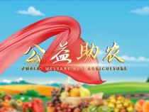 金秋時節(jié)  這些臨渭水果不容錯過