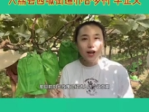 什么样的阳光玫瑰不卸袋也能卖？