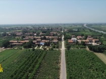 9月8日振興鄉(xiāng)村 美好臨渭