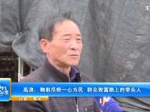 高浪：鞠躬盡瘁一心為民  群眾致富路上的帶頭人