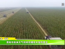 渭南市秋淋天气抢收抢播技术指导意见
