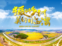 1020振興鄉(xiāng)村 美好臨渭