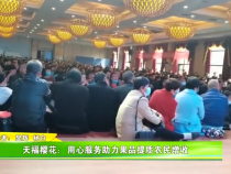 天福樱花：用心服务助力果品提质农民增收