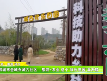 韩城市金城办城古社区：旅游+农业 这个“欢乐田园”真不错
