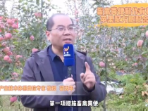 渭南果业发展中心提示，苹果园有机质提升要点