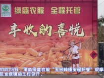 玉米种植全程托管 现场观摩见证丰收