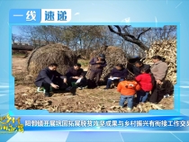 11月17日一線速遞