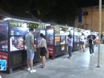 临渭区：抓整改 促提升 全国文明城市创建工作持续推进