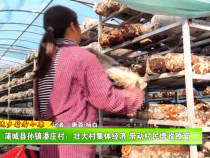 蒲城縣孫鎮潘莊村：壯大村集體經濟 帶動村民增收致富