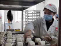 華州區瓜坡鎮：異地搬遷小區有了致富“新名片”