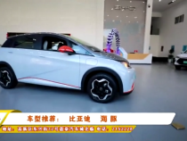 车型推荐：比亚迪 海豚