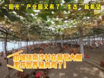 “阳光”产业园有了“生态”新希望